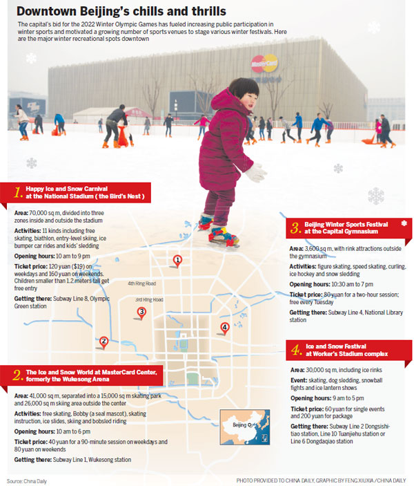 Winter Games bid fires public's imagination