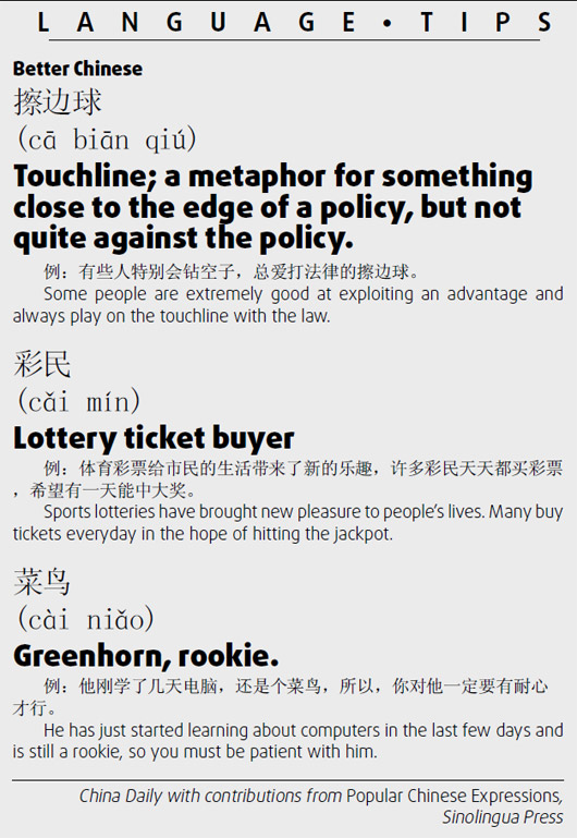 擦邊球 Touchline;菜鳥(niǎo) rookie;大片 big-budget moive