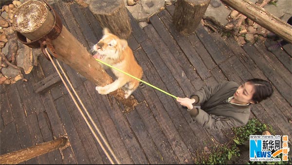 Animal reality show starts debate on animal rights