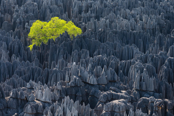 Brand takes visual route to promote green agenda