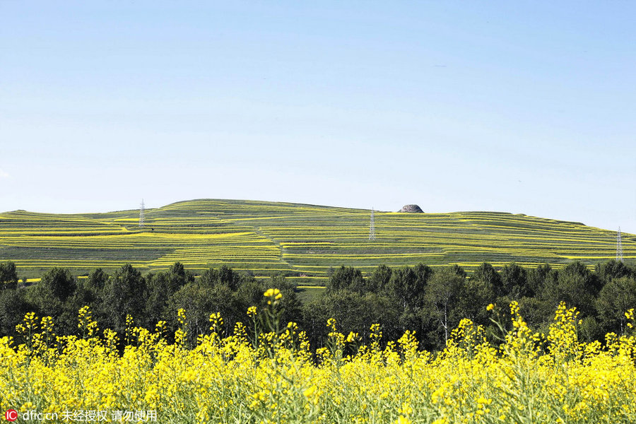 24 Solar Terms: 7 things you may not know about Grain in Ear
