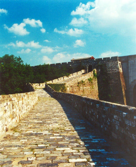650th anniversary of Ming City Wall celebrated in Nanjing