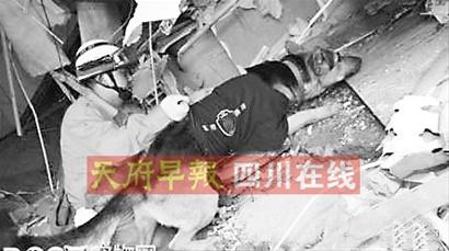 央視大鬧“烏龍事件” 新聞頻道播出假新聞(圖)