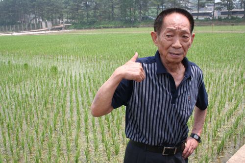 大功至偉袁隆平：我是人民農學家