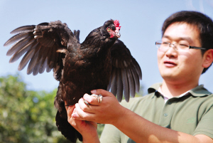 大學(xué)生村官郭帥阮江南創(chuàng)業(yè)中收獲愛情(組圖)