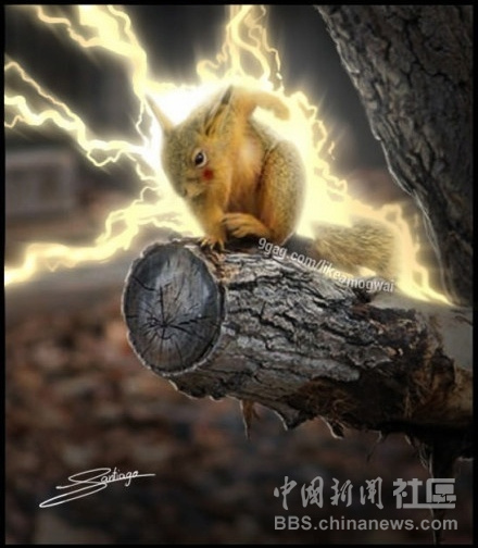 元芳很忙！細數那些一個不小心就火起來的“忙人”
