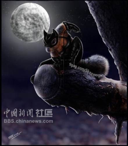 元芳很忙！細數那些一個不小心就火起來的“忙人”