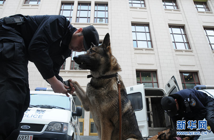 警犬“助陣”兩會安保工作：大會堂內細致檢查