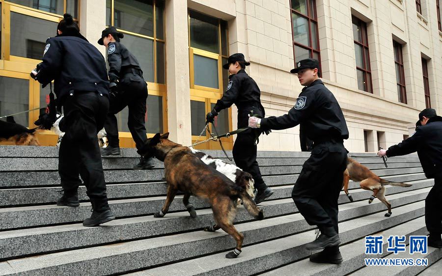 警犬“助陣”兩會安保工作：大會堂內細致檢查