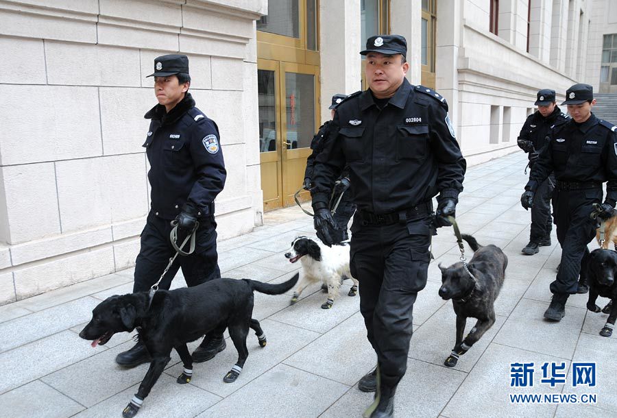 警犬“助陣”兩會安保工作：大會堂內細致檢查