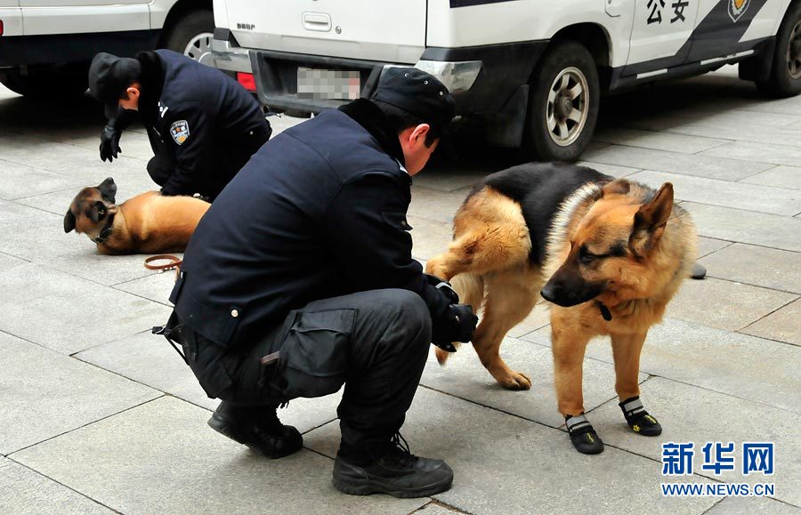 警犬“助陣”兩會安保工作：大會堂內(nèi)細(xì)致檢查