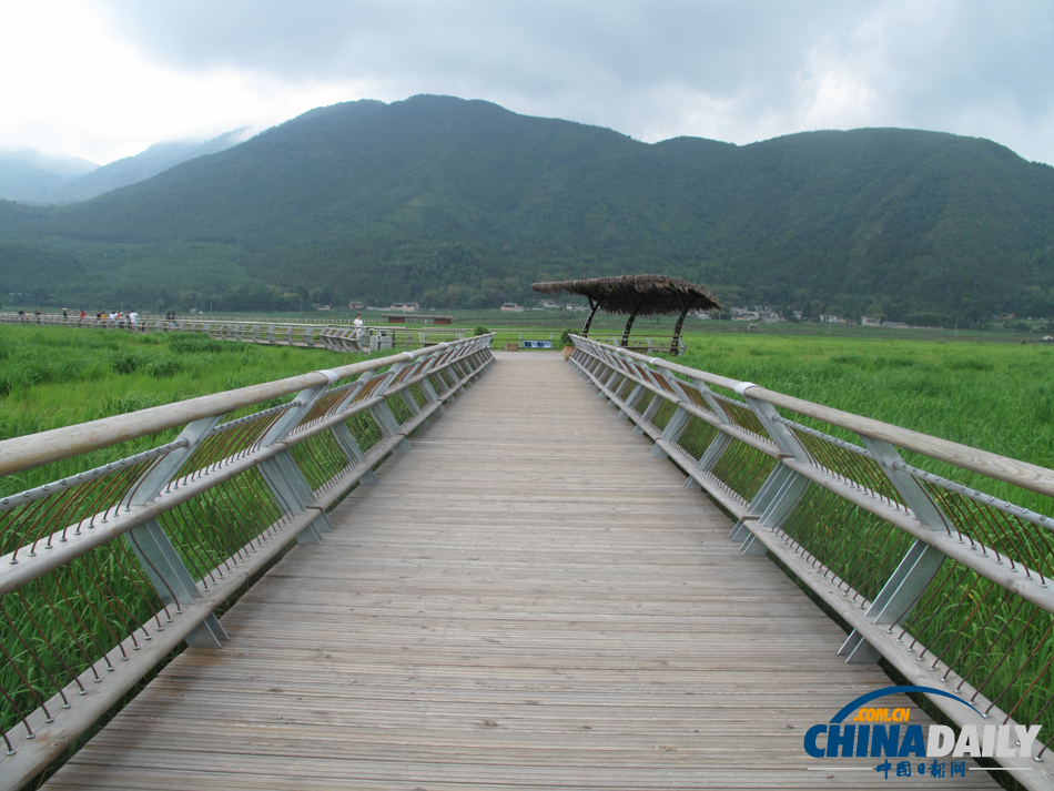 走進(jìn)騰沖北海濕地 體驗“人在畫中游”的美景