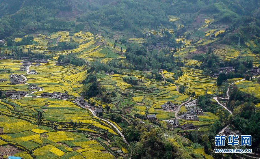 資料圖片：航拍的四川省蘆山縣思延鄉