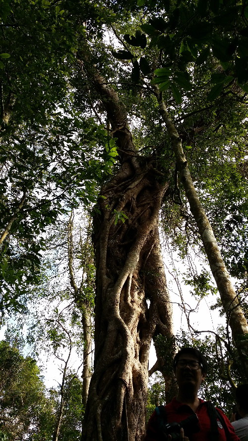 海南樂東地產(chǎn)經(jīng)濟突顯獨特的自然環(huán)境優(yōu)勢