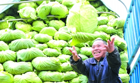 3萬噸國家儲(chǔ)備柴油入渝 重慶肉菜價(jià)有望降一成