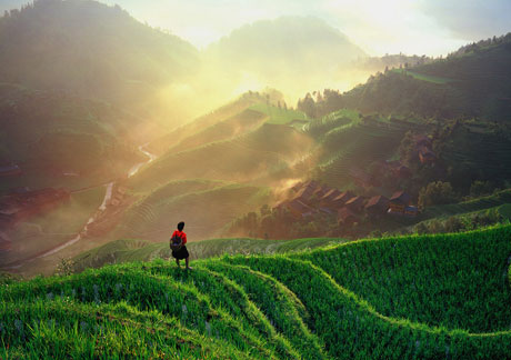 龍脊梯田 世界之冠