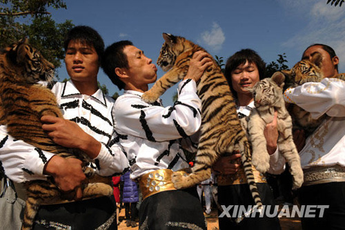 廣州香江野生動(dòng)物世界虎園奠基