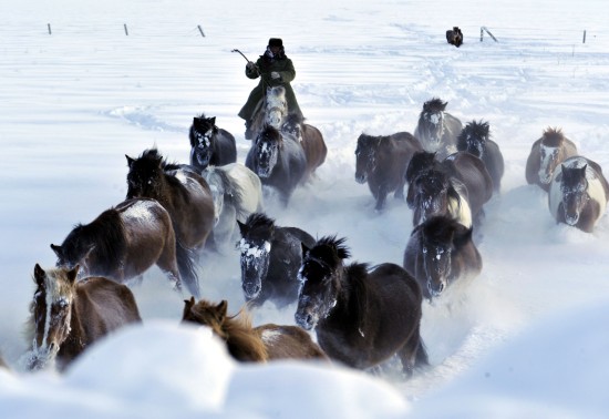 新疆發生雪災5000余人轉移1人死亡(組圖)