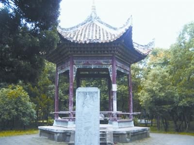 湖北荊門240畝烈士公園變身網球公園(圖)
