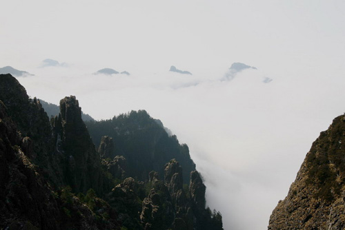 神農架出現霧凇和云海的景觀（圖）