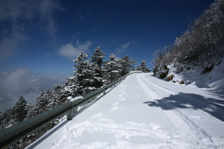 雪后初晴現神農架絕美景致（圖）