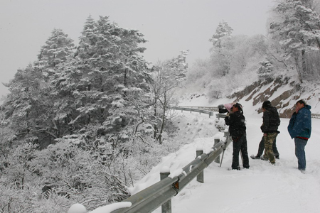雪后初晴現(xiàn)神農(nóng)架絕美景致（圖）