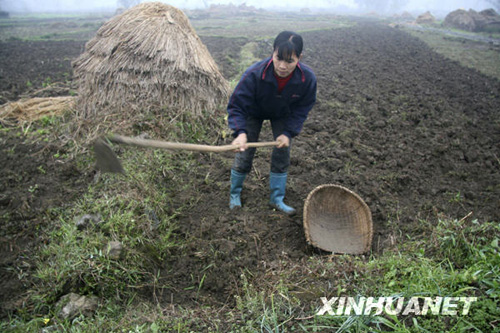 廣西部分旱區(qū)喜降春雨