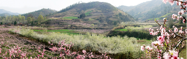 西峽生態(tài)美景如畫(huà)