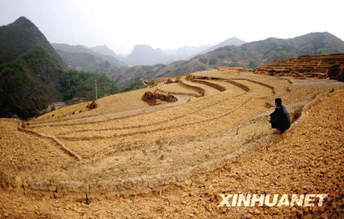 紅基會(huì)發(fā)起