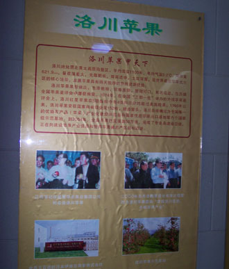 網(wǎng)絡(luò)媒體陜西行走訪蘋果之鄉(xiāng)洛川