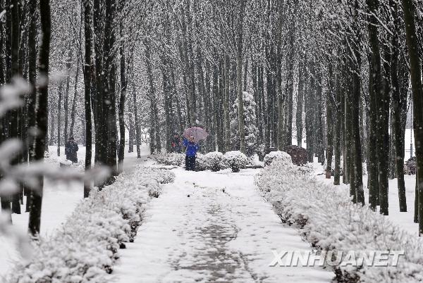 遼寧四月飛雪