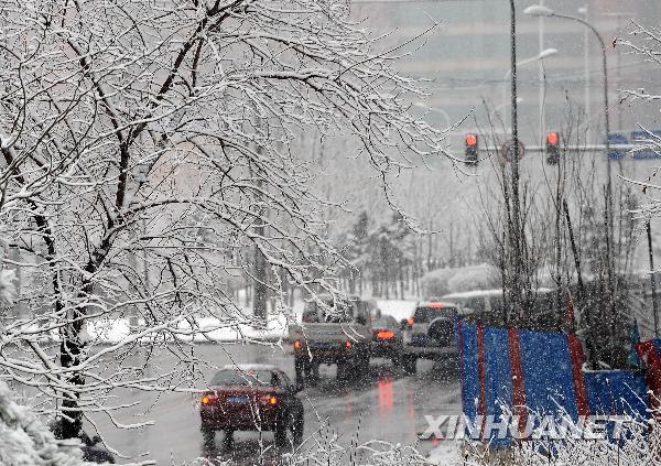 遼寧四月飛雪