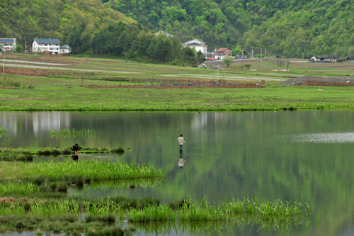 神農(nóng)架高山濕地大九湖掠影