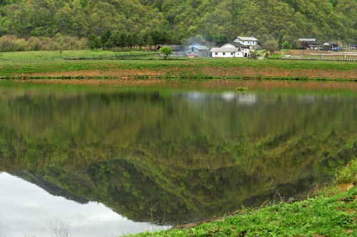 神農架高山濕地大九湖掠影