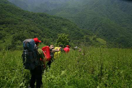 端午小長(zhǎng)假助推神農(nóng)架旅游熱潮