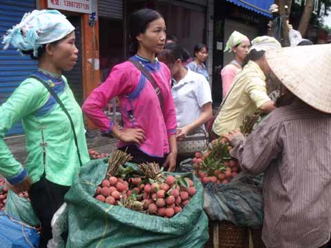 繁忙的中越邊境河口口岸(組圖)
