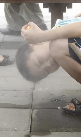上海世博局將向游客免費(fèi)發(fā)放2500萬(wàn)把扇子(圖)