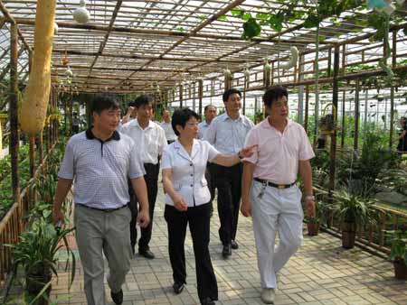 江蘇副省長黃莉新考察黃橋老區現代高效農業