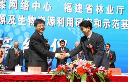 福建首發(fā)森林生態(tài)價值評估 總價超七千億