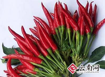 從“蒜你狠”到“蘋什么” 網(wǎng)絡(luò)熱詞“看漲”