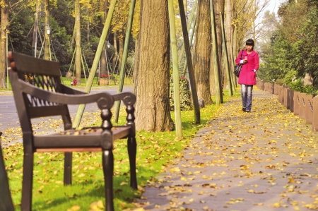 成都銀杏落葉只揀不掃 美景可欣賞至下月初