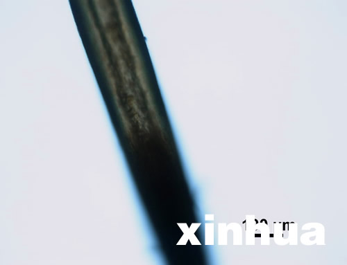 專家稱神農(nóng)架野人不存在 野人紅毛皆是偽造