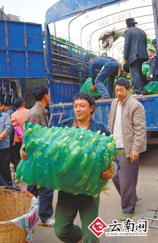 保障蔬菜供應 持特別通行證貨車全天都可入城
