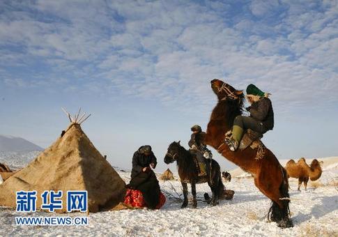 新疆阿勒泰百萬(wàn)牲畜大轉(zhuǎn)場(chǎng)