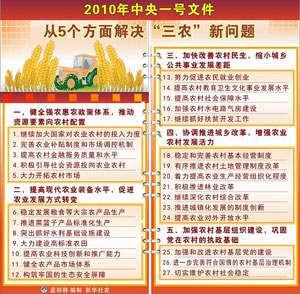 2010年中國農(nóng)業(yè)農(nóng)村經(jīng)濟發(fā)展:糧食產(chǎn)量七連增
