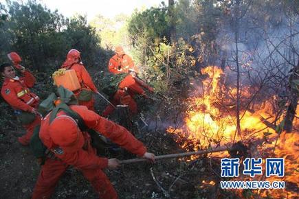 云南省玉龍縣森林大火已基本撲滅 火災原因在調查中