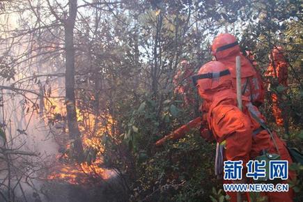 云南省玉龍縣森林大火已基本撲滅 火災原因在調查中