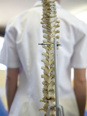 人老了哪些器官會“縮水”