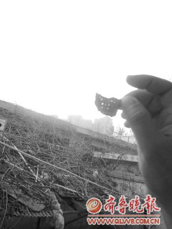 煙臺(tái)出土史前酒杯 薄如蛋殼厚不超過(guò)1毫米