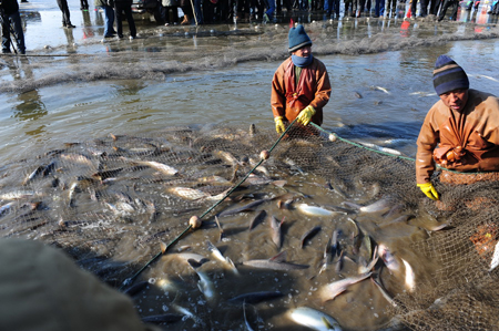 冰湖騰魚：盤錦市冬捕文化節開幕